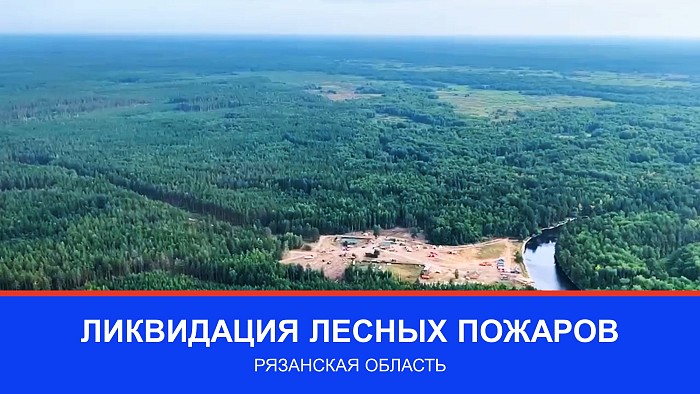 Ликвидация лесных пожаров: Рязанская область